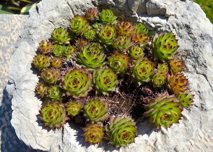 아파트호텔 La Madrugada 말세진느